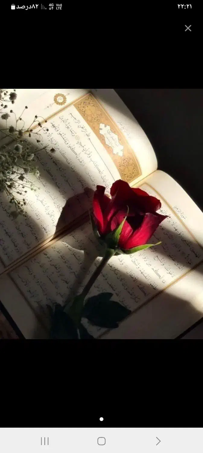 فال تضمینی|خدمات پذیرایی، مراسم|کرمان, |دیوار