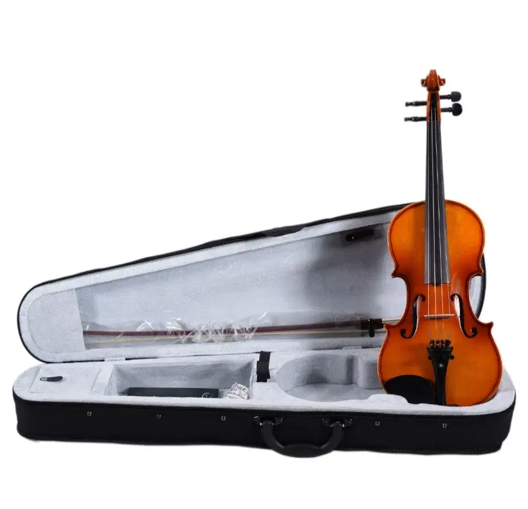 ویلن تی اف سایز 3/4|ویولن|نیشابور, دارایی|دیوار