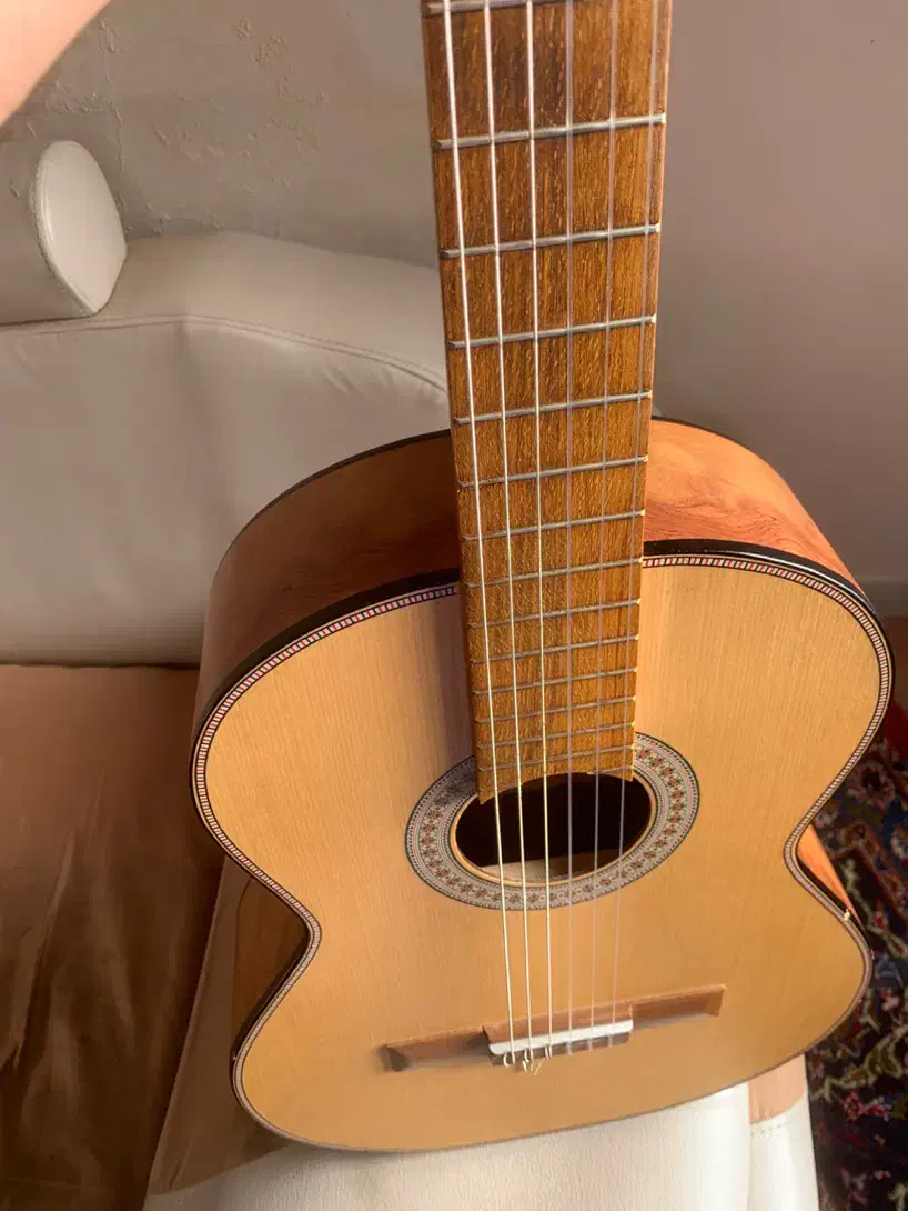 گیتارفرانسیسکو|گیتار، بیس، امپلیفایر|شاهرود, |دیوار