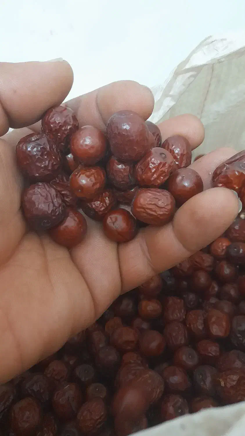 عناب تازه|خوردنی و آشامیدنی|قم, ولیعصر|دیوار