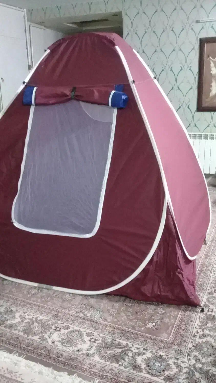 چادر مسافرتی|کوهنوردی و کمپینگ|بروجرد, |دیوار