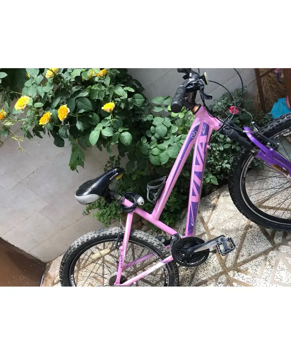 دوچرخه ویوا ۲۶|دوچرخه، اسکیت، اسکوتر|نیشابور, هفده شهریور|دیوار