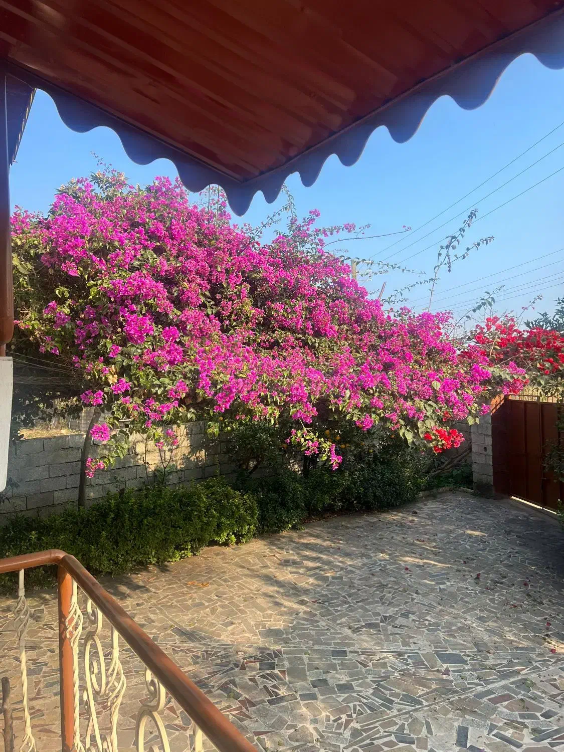 ۲ واحد ویلا باغ مبله حیاط دار  با ورودی مجزا|فروش خانه و ویلا|کتالم و سادات شهر, |دیوار