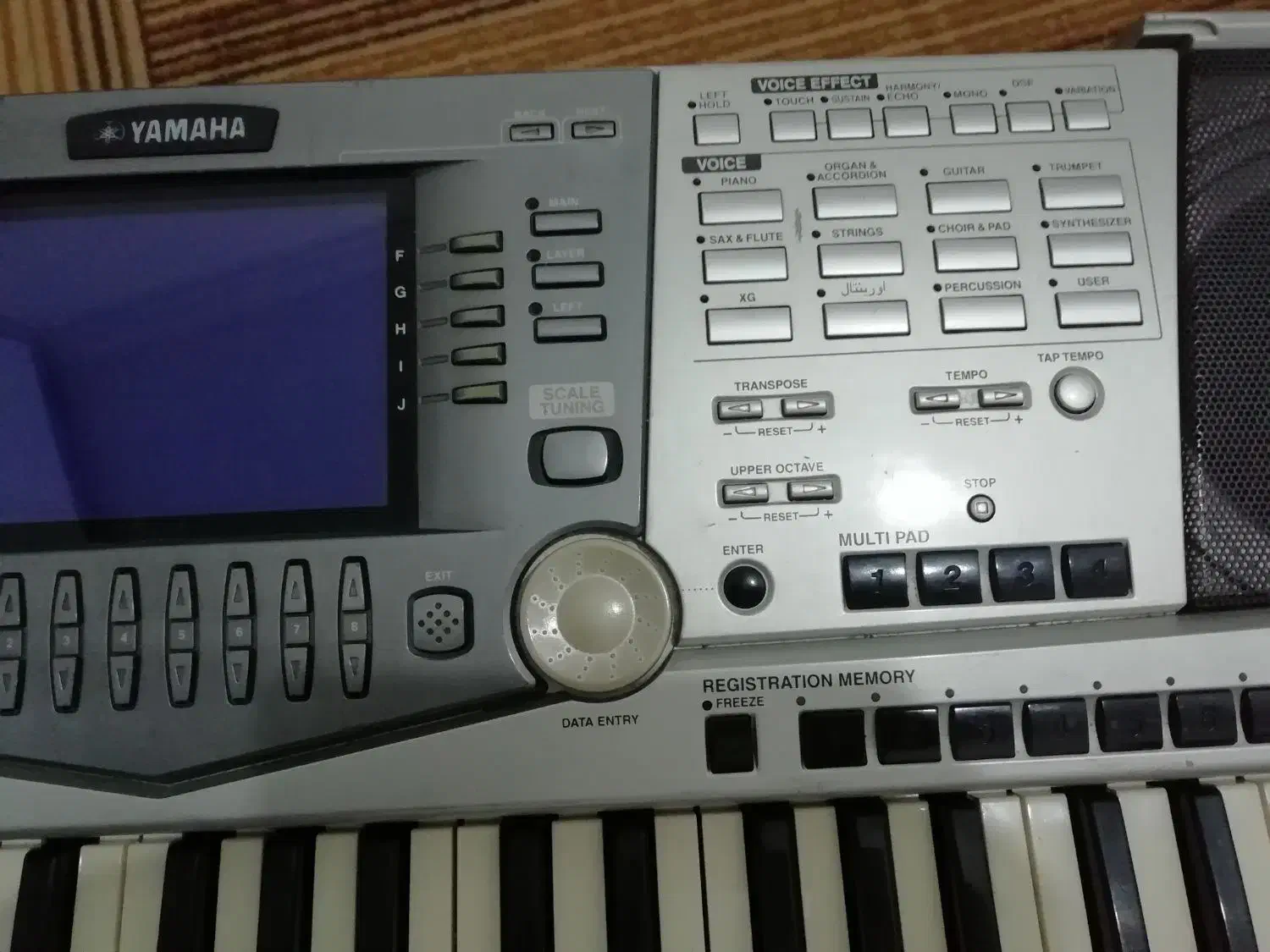 a1000|پیانو، کیبورد، آکاردئون|جم, |دیوار