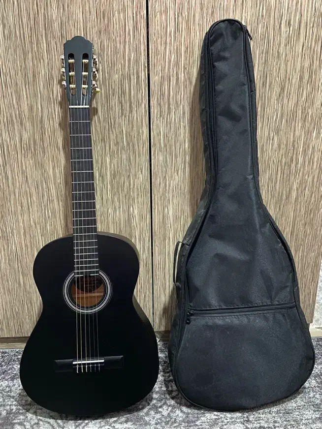 گیتار|گیتار، بیس، امپلیفایر|رشت, یخسازی|دیوار