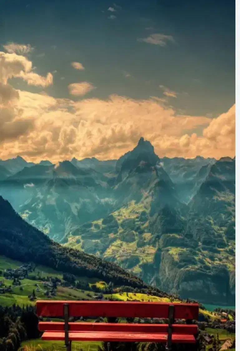 راهنمایی|گردهمایی و همایش|مشهد, حیدرآباد|دیوار