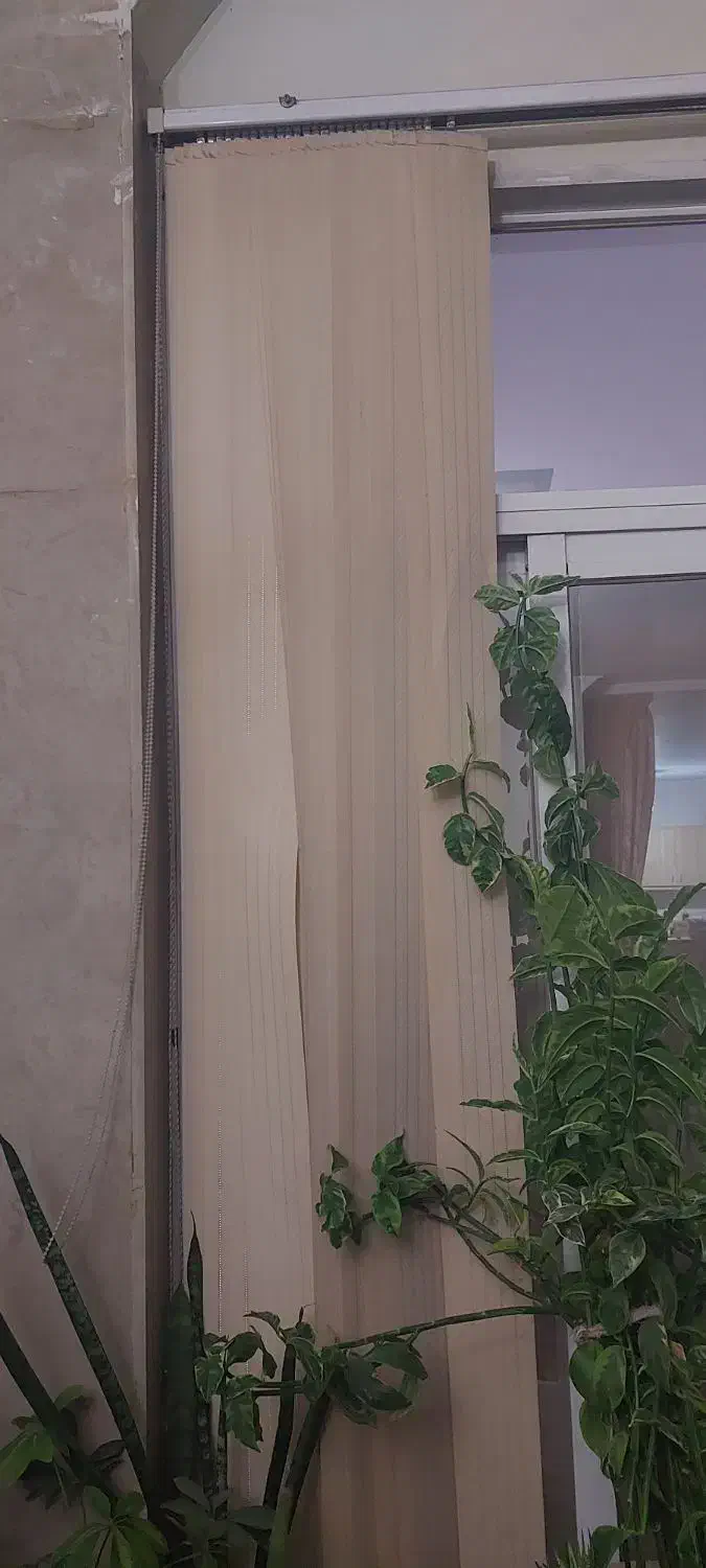 پرده عمودی سالم رنگ کرم|پرده، رانر، رومیزی|مشهد, ده دی|دیوار