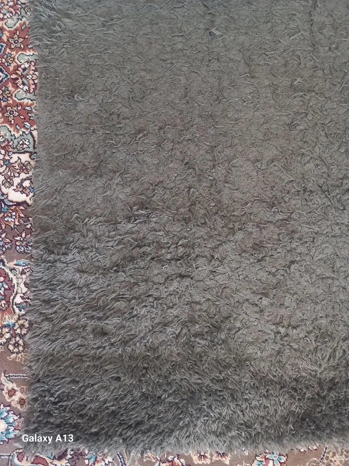 موکت نرم پرز بلند|موکت|زنجان, |دیوار