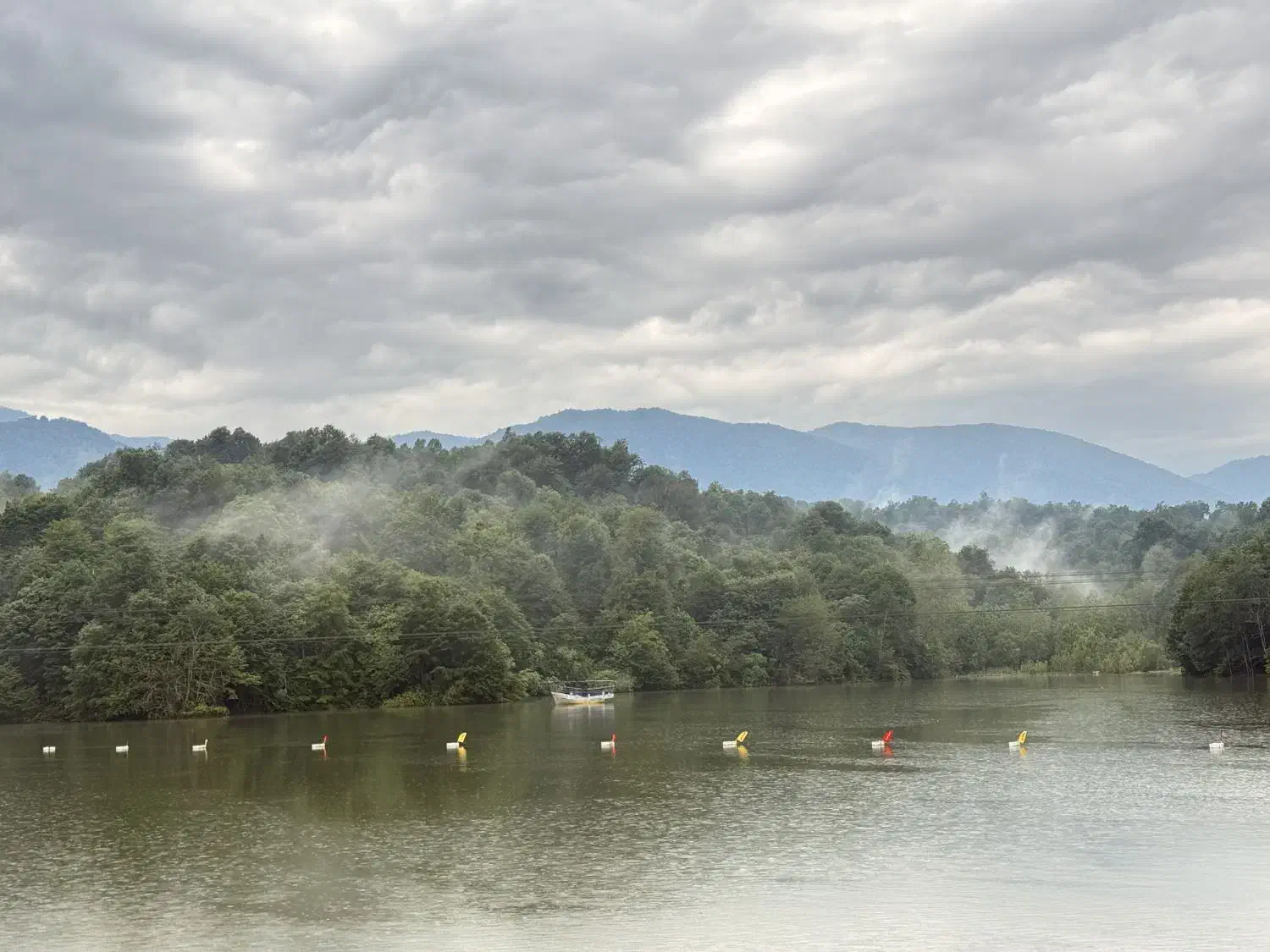 استخدام نیرو|استخدام بازاریابی و فروش|نور, |دیوار