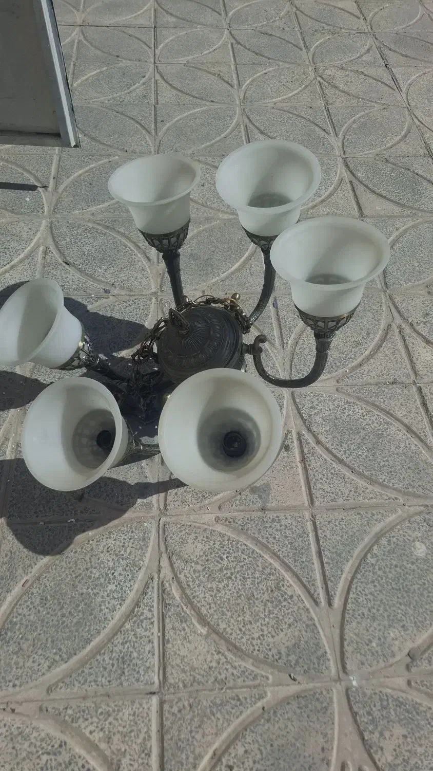 لوسترشش شاخه|لوستر و چراغ آویز|فردیس, قریشی|دیوار