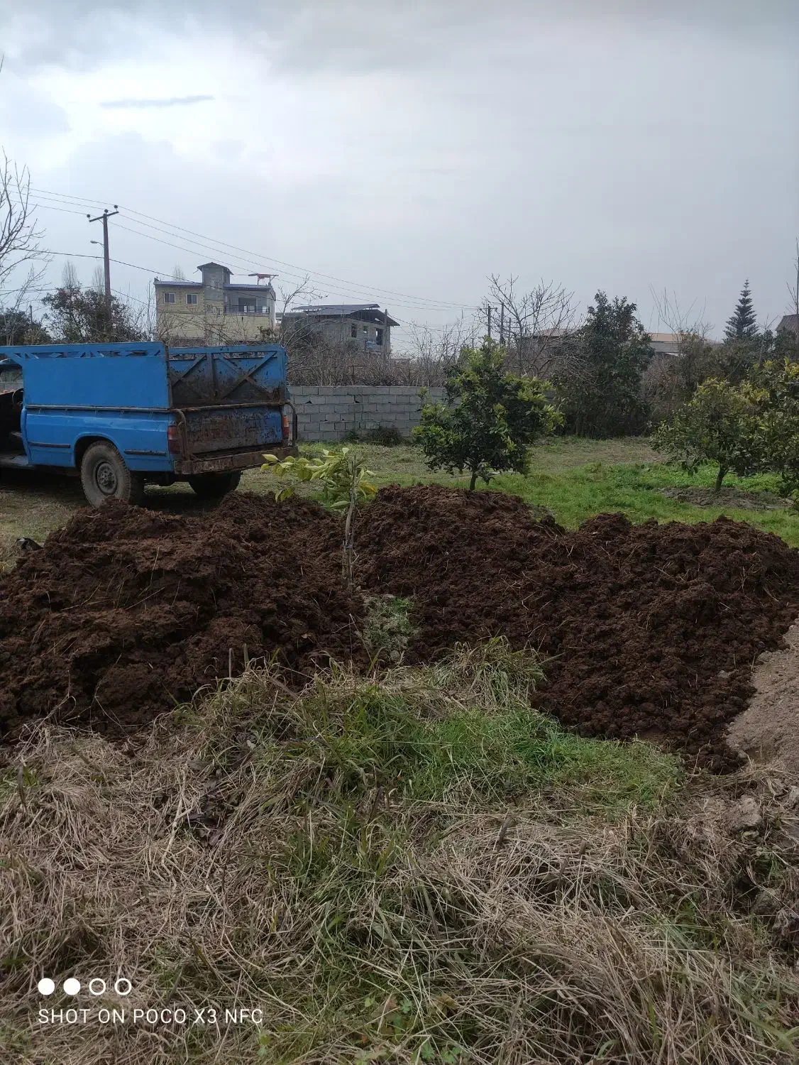 فروش کود ، خاک ، خاک برگ ،پوست بادام ، پوست برنج|خدمات باغبانی و درختکاری|رامسر, |دیوار