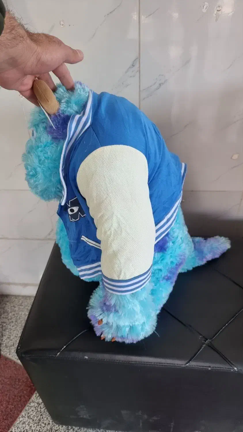 عروسک سالیوان|اسباب‌‌بازی|پیرانشهر, |دیوار