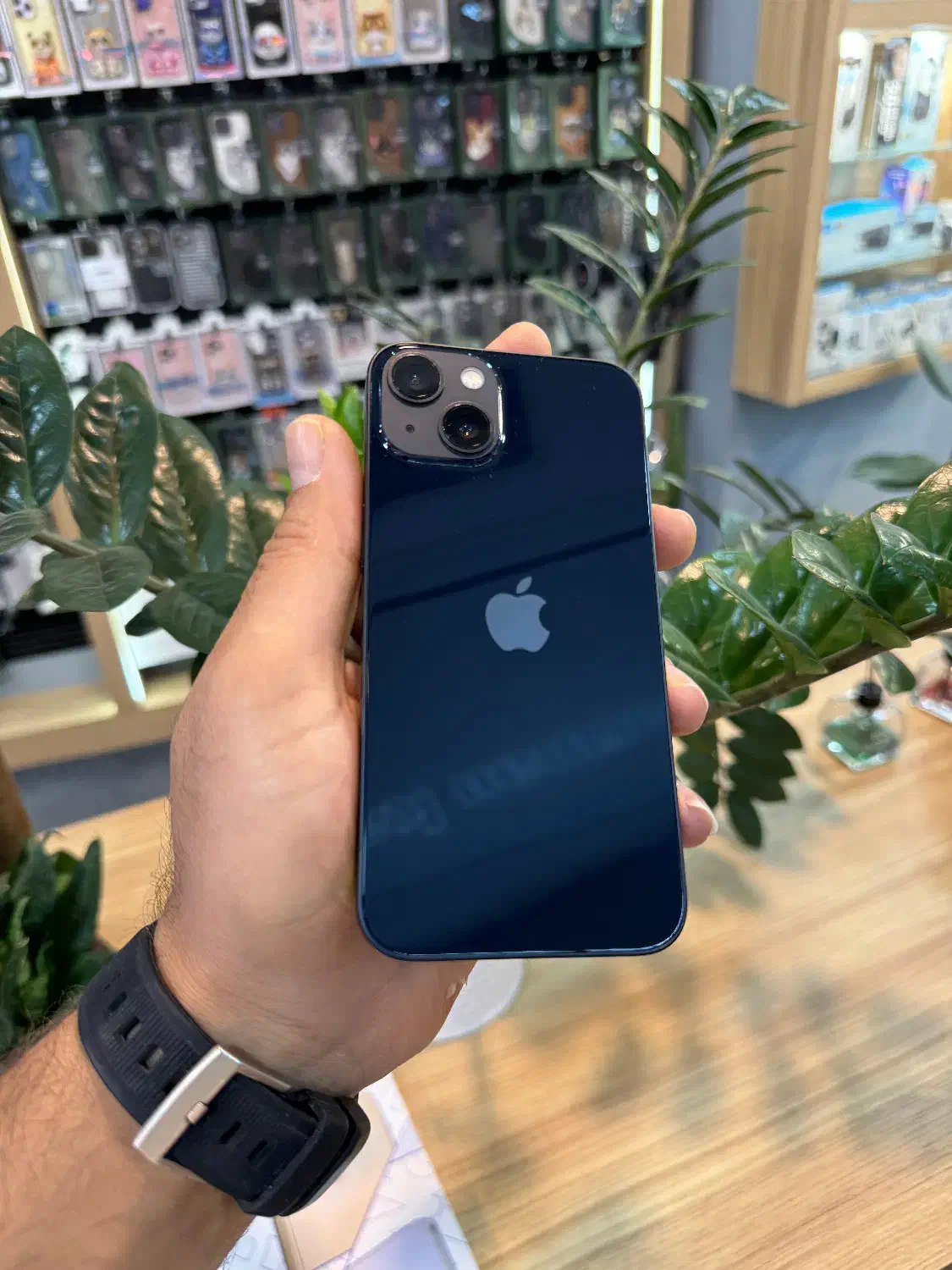 ایفون iPhone 13 حافظه 128بدون پیش پرداخت|موبایل|کرج, عظیمیه|دیوار