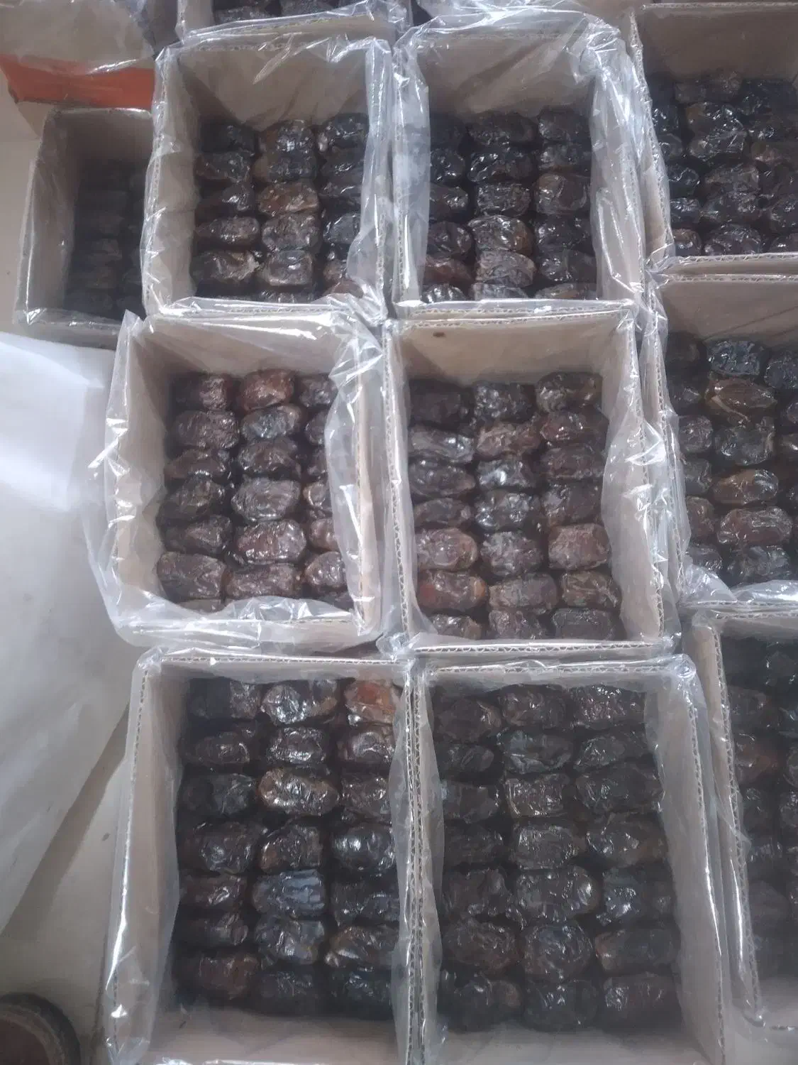 خرمای شهابی|عمده‌فروشی|آبپخش, |دیوار