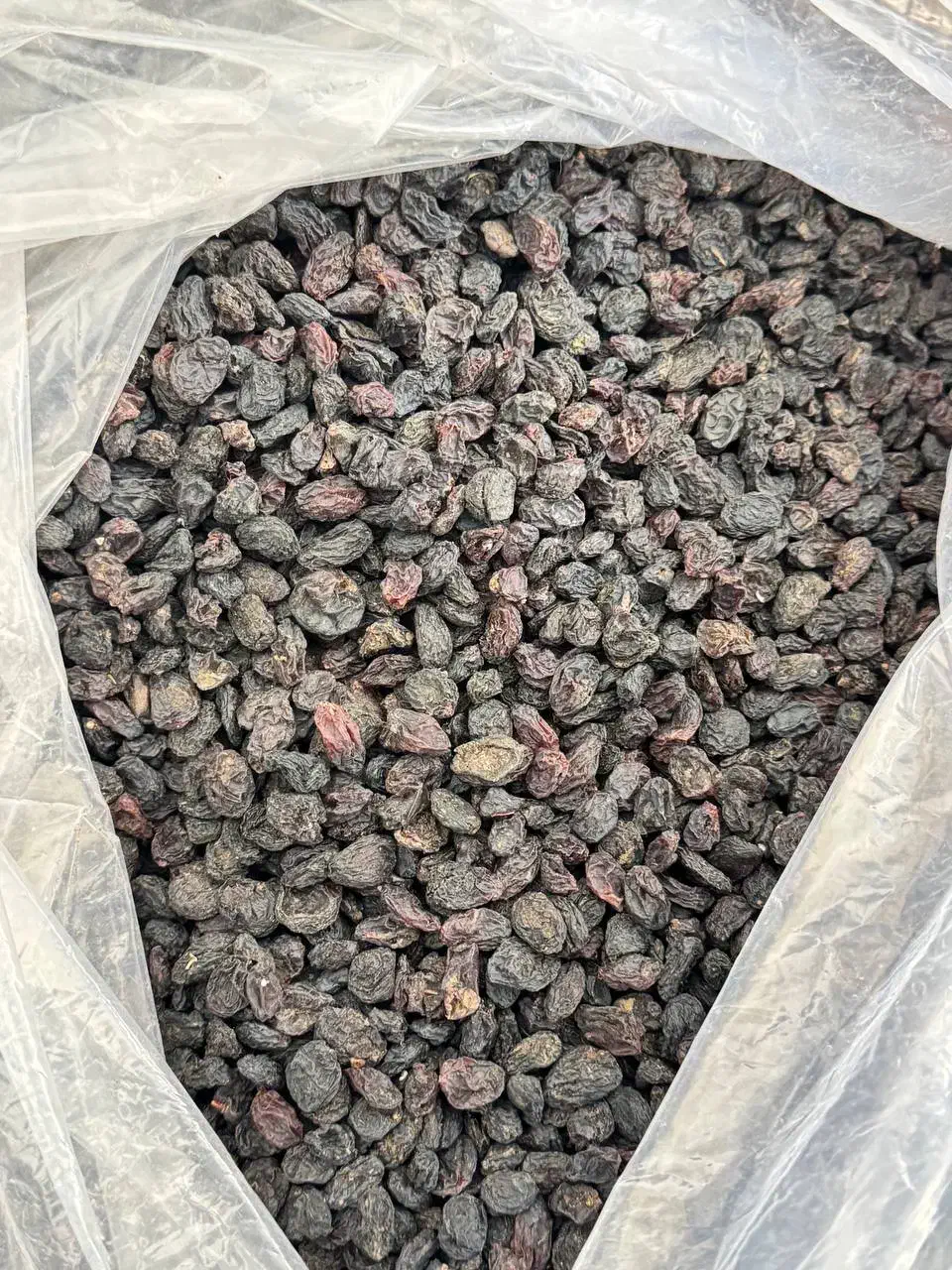 مویز افغان|عمده‌فروشی|مشهد, کارمندان دوم|دیوار