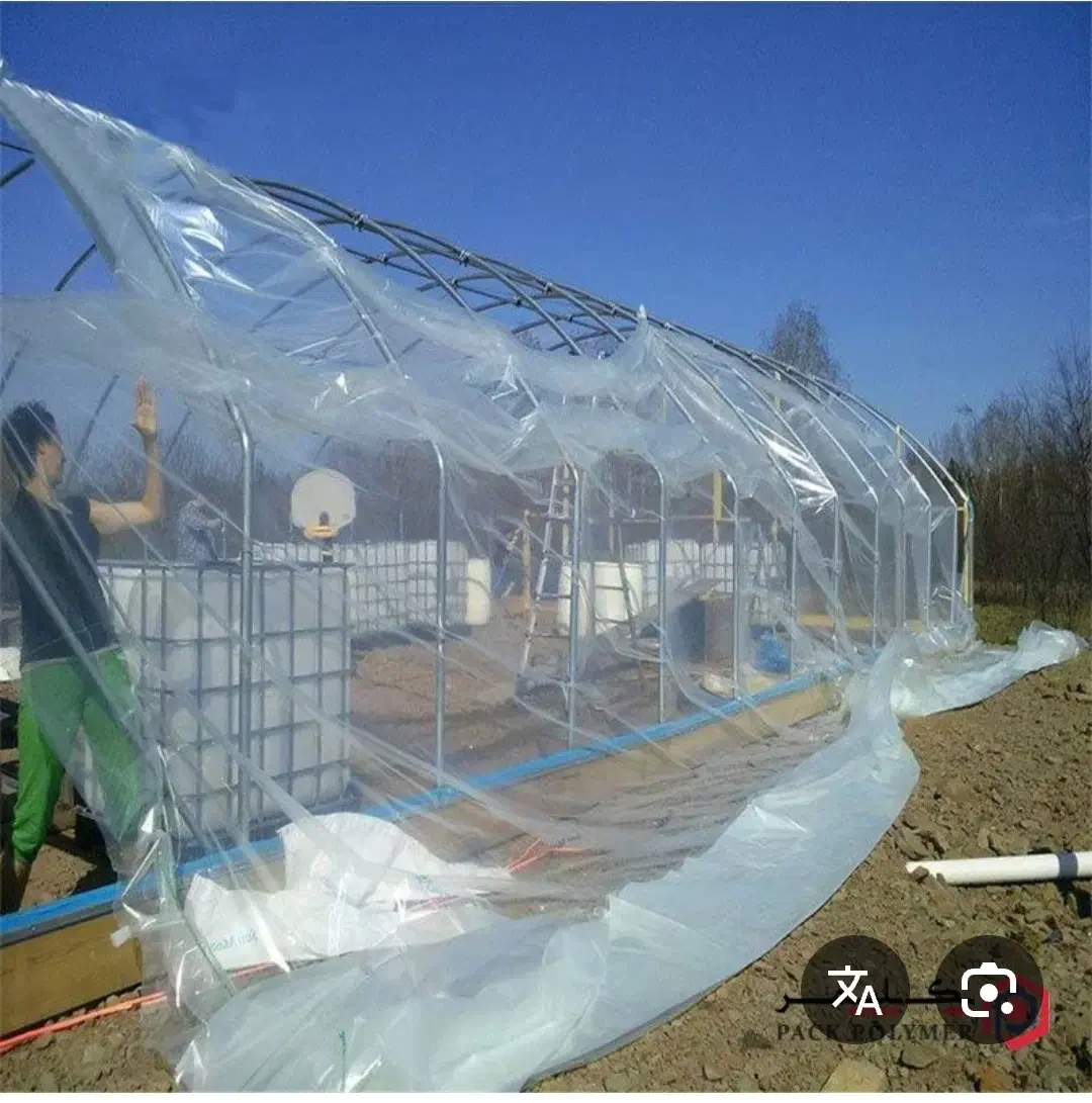 پلاستیک گلخانه خ|خدمات باغبانی و درختکاری|کهنوج, |دیوار