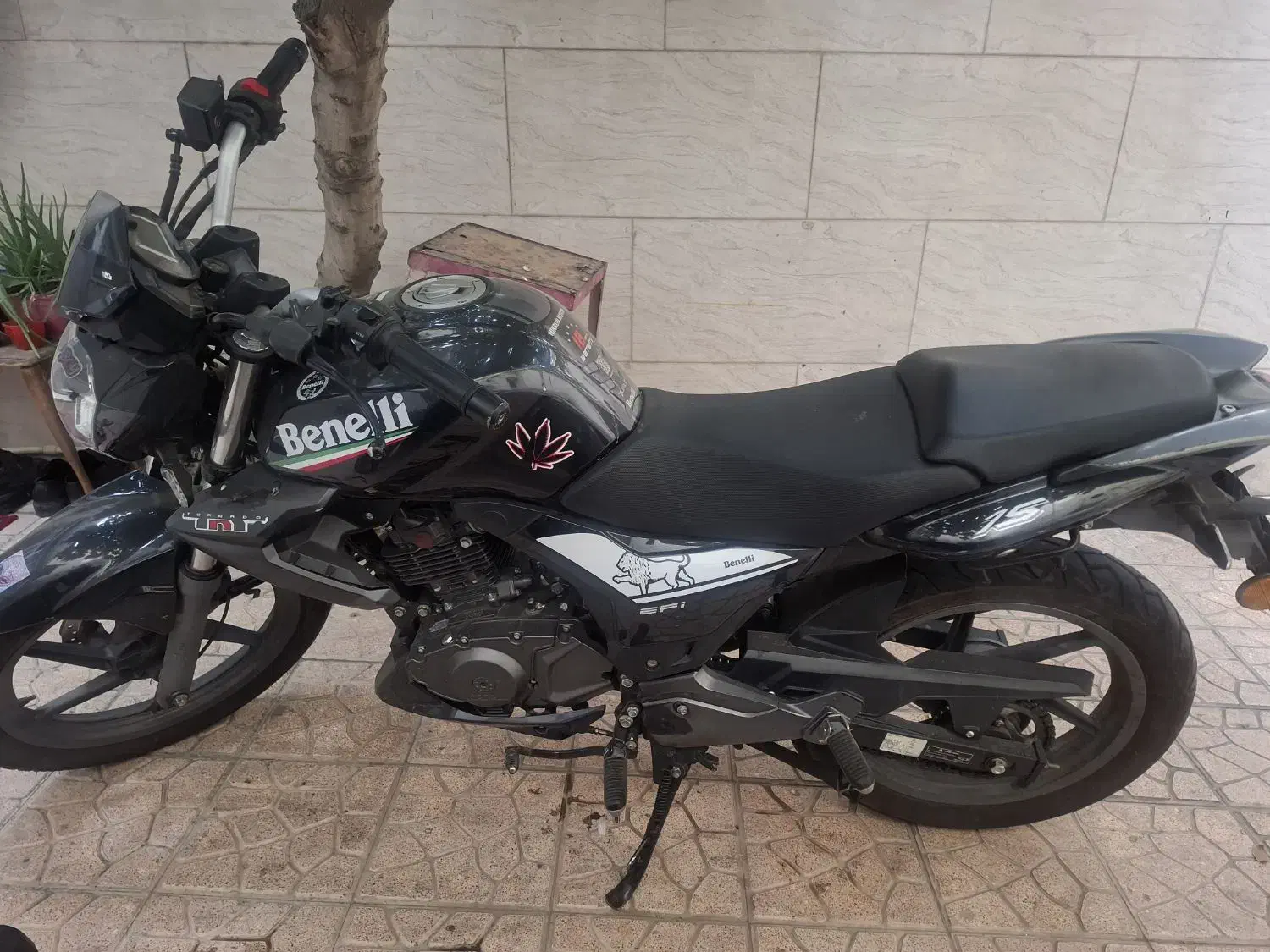 برند بنلی ۱۵۰ سی سی|موتورسیکلت|ری, شهادت|دیوار