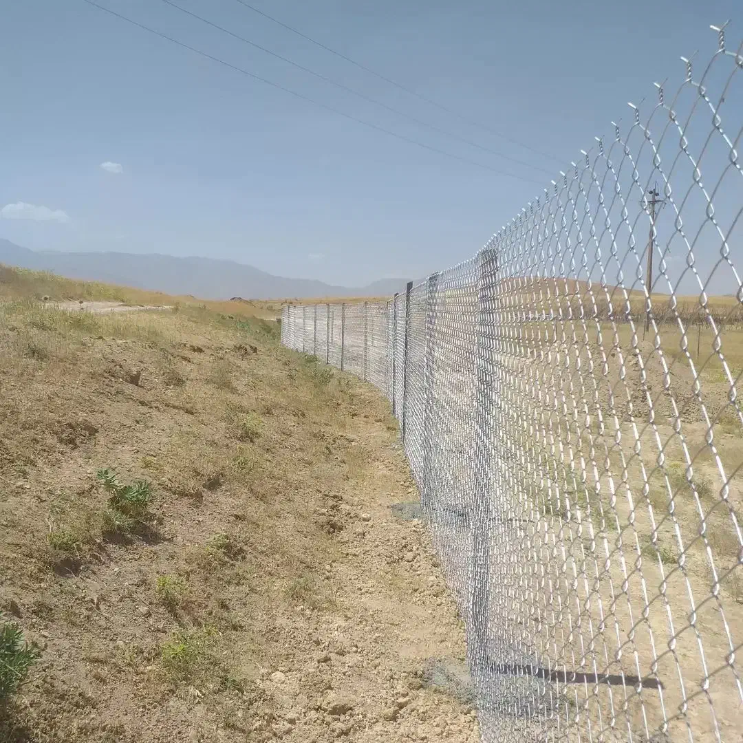 نصب فنس دور باغ و اماکن|خدمات باغبانی و درختکاری|قروه, |دیوار