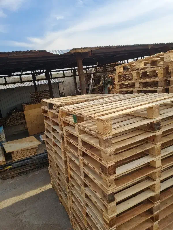 پالت ۱۱۰ در ۱۲۵ ارزان تعداد محدود|عمده‌فروشی|تهران, تهرانسر غربی|دیوار