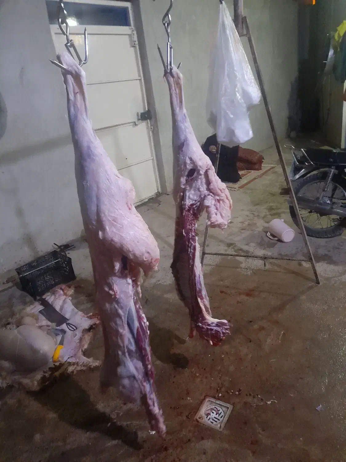 گوشت بره کبابی ۶۹۰|خوردنی و آشامیدنی|مسجد سلیمان, |دیوار