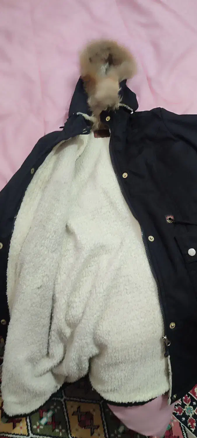 کاپشن خزدار|لباس|کازرون, |دیوار