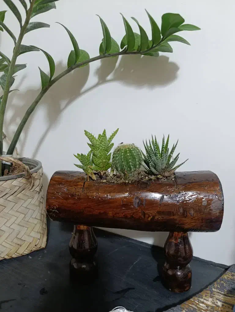 تولیدی چوبی گلدان|گل و گیاه طبیعی|قم, سراجه (۱۵ خرداد)|دیوار