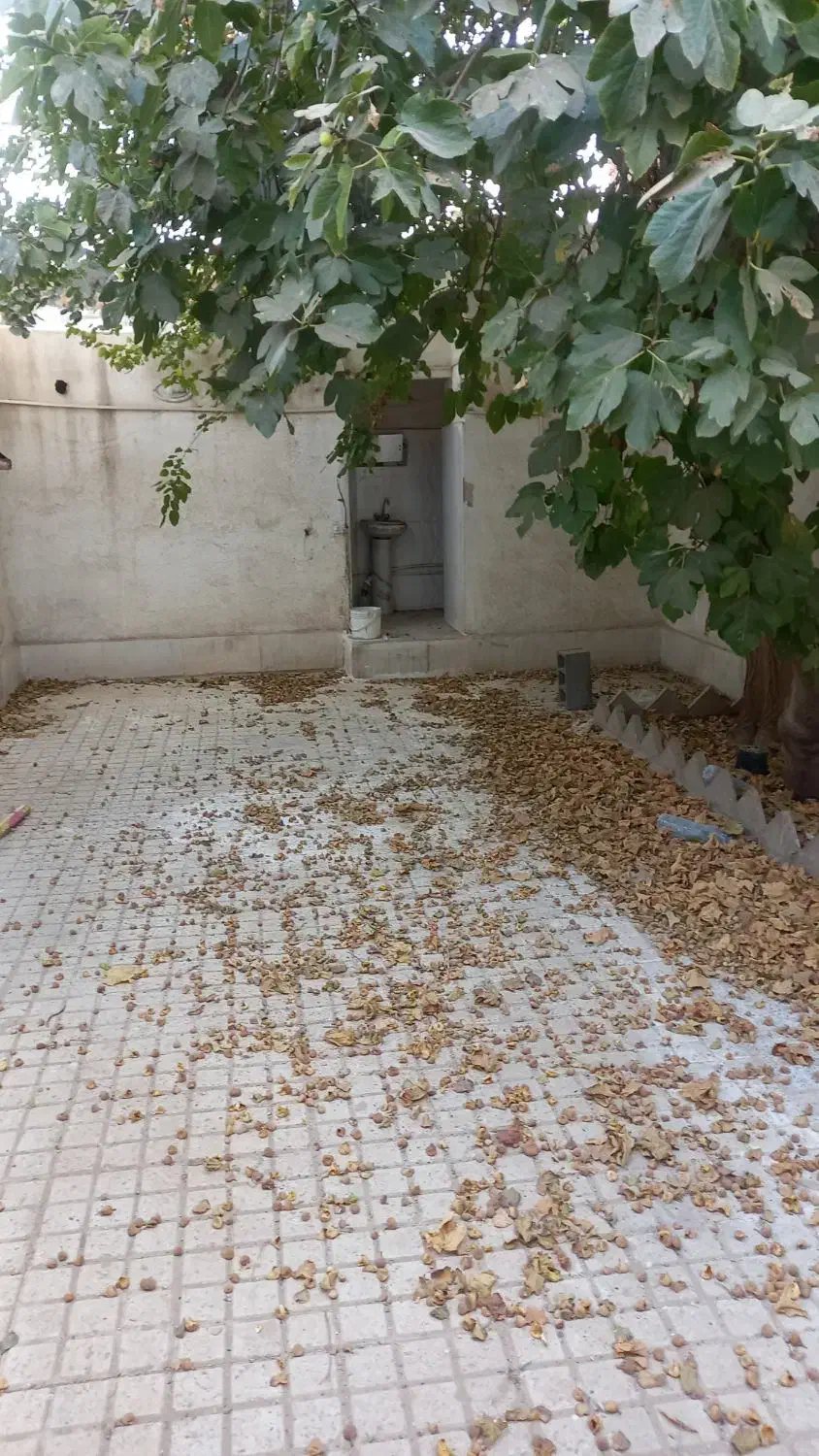 اجاره خانه ویلایی ۷۰ متری ۱ خوابه در پارچین|اجارهٔ خانه و ویلا|پاکدشت, پارچین|دیوار
