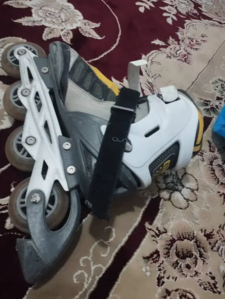 اسکیت|دوچرخه، اسکیت، اسکوتر|شیراز, کوشک میدان|دیوار