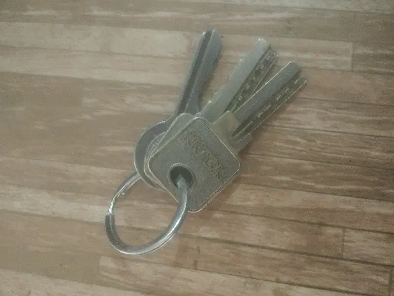 مفقودی یه دسته کلیدوکلید ماشین تیبا|اشیا|لردگان, |دیوار