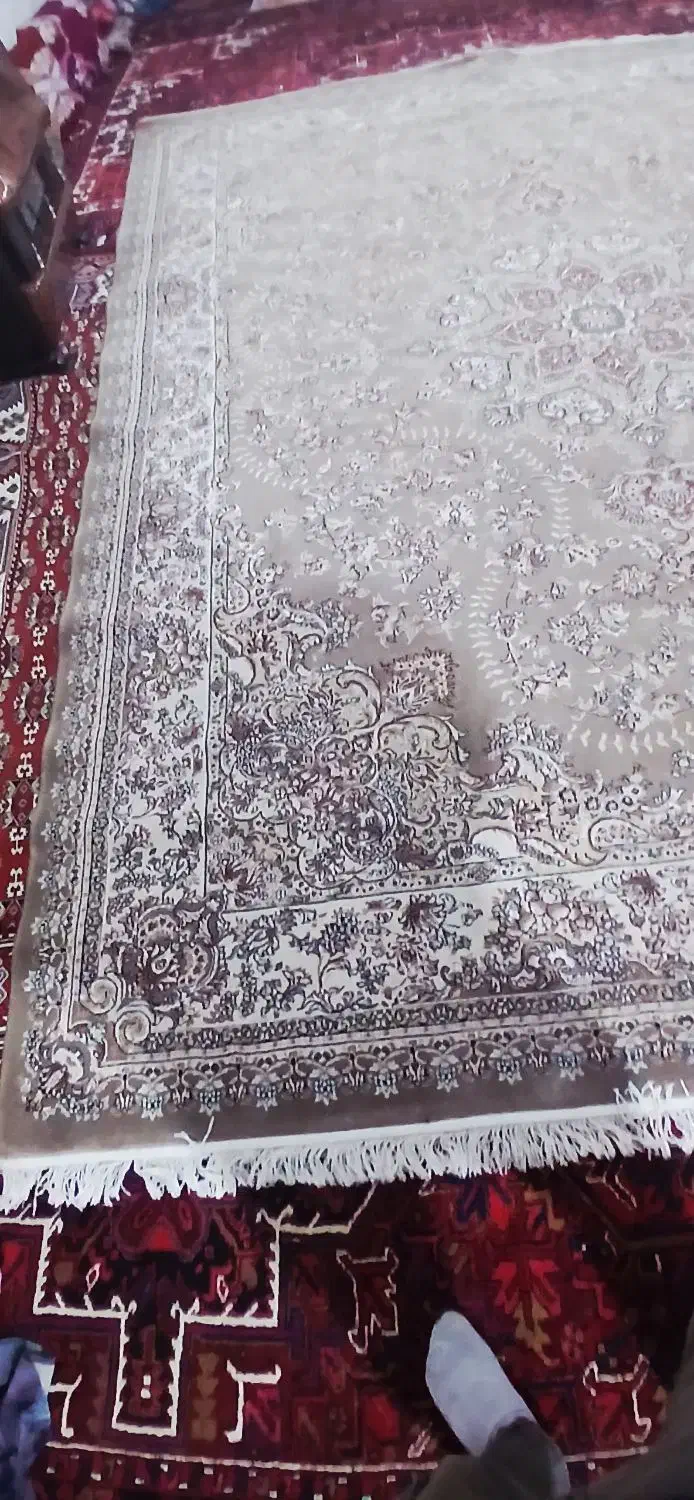 فرش ۱۲ متر در حد|فرش|اهر, |دیوار