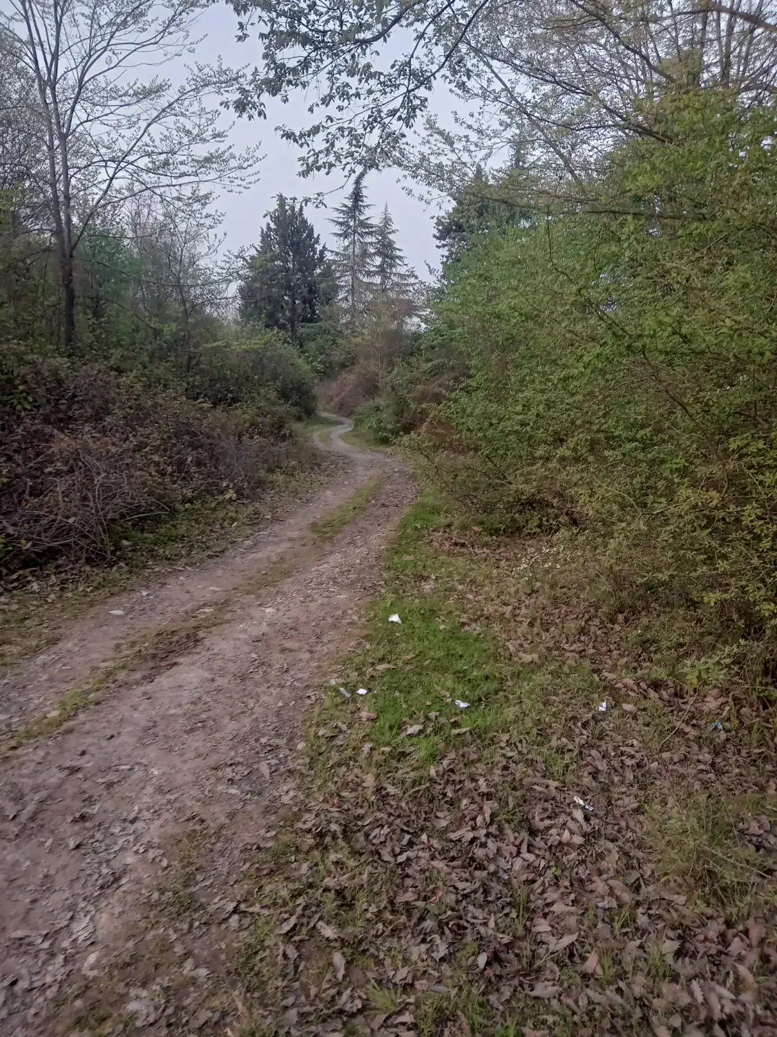 کیف مدارک|اشیا|پردیس, فاز ۲|دیوار