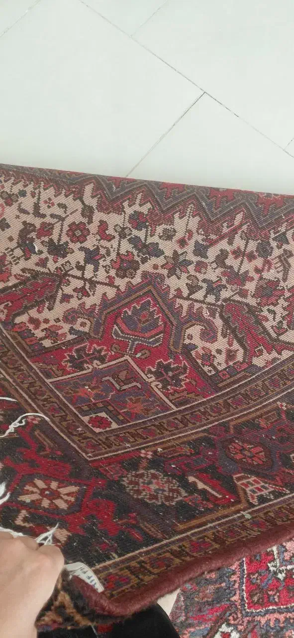فرش دستباف مهربان ۶ متری|فرش|سهند, |دیوار