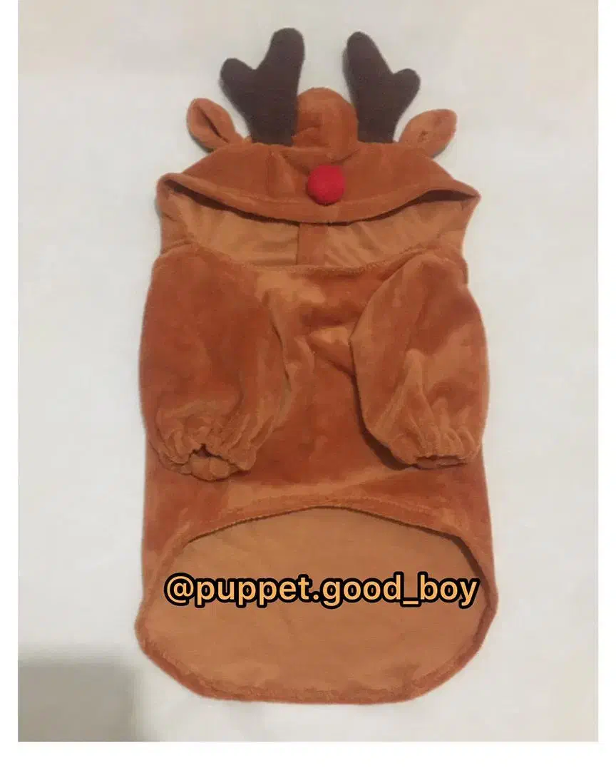 لباس پت سگ و گربه|لوازم جانبی حیوانات|شاهین‌شهر, عطار|دیوار