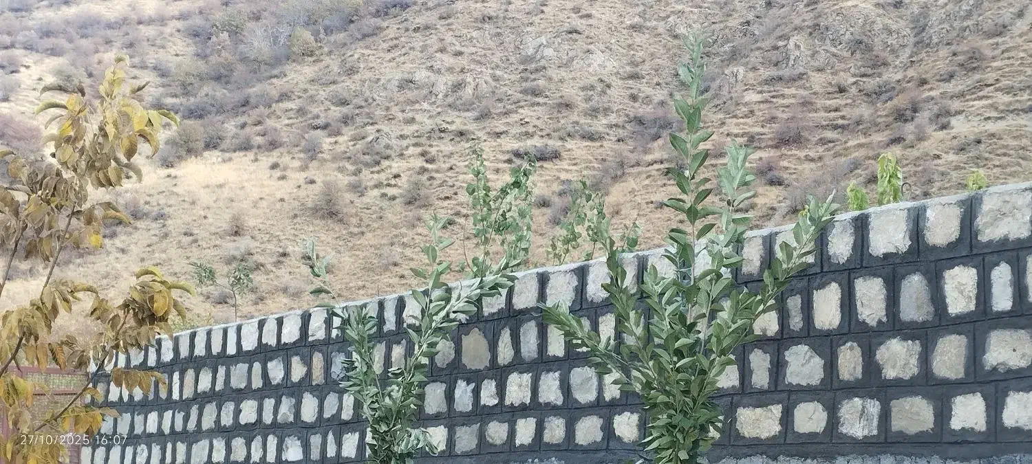 پیمانکاری بنایی|خدمات پیشه و مهارت|ارومیه, |دیوار