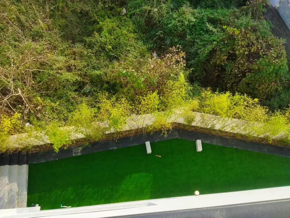 دونیای گرینوال دونیای چمن|گل مصنوعی|قائم‌شهر, |دیوار