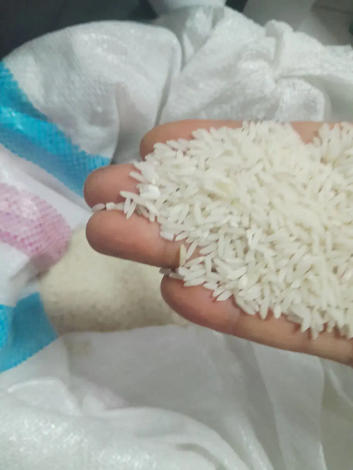 برنج طارم محلی بابلسر|خوردنی و آشامیدنی|بابلسر, |دیوار