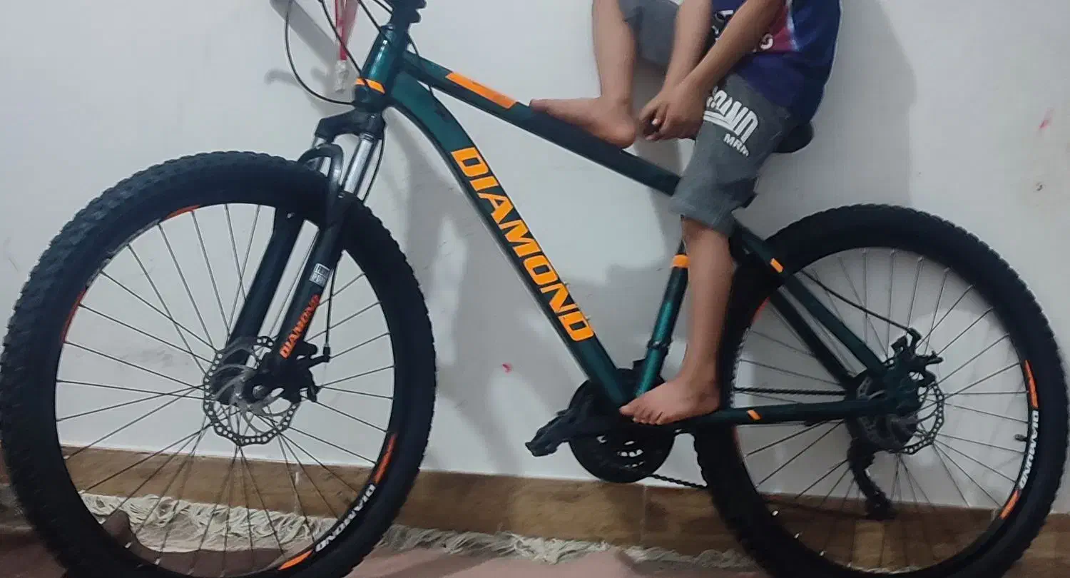 دوچرخه دزدی شده|اشیا|بندر کنگان, |دیوار