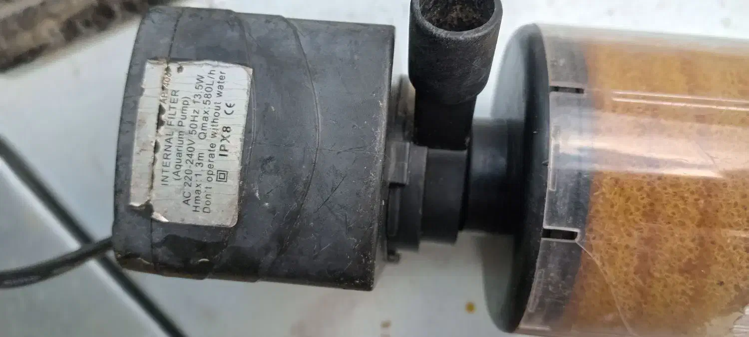 اکسیژن ساز و تمیزکننده آکواریوم|ماهی|رشت, نخودچر|دیوار