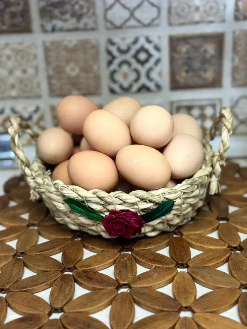 تخم مرغ محلی ،تولید روز|خوردنی و آشامیدنی|تهران, ایران|دیوار