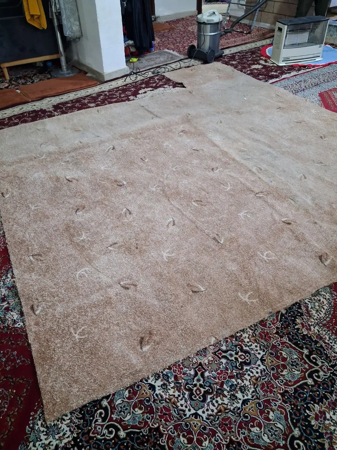 موکت|موکت|اهواز, کمپلو جنوبی|دیوار