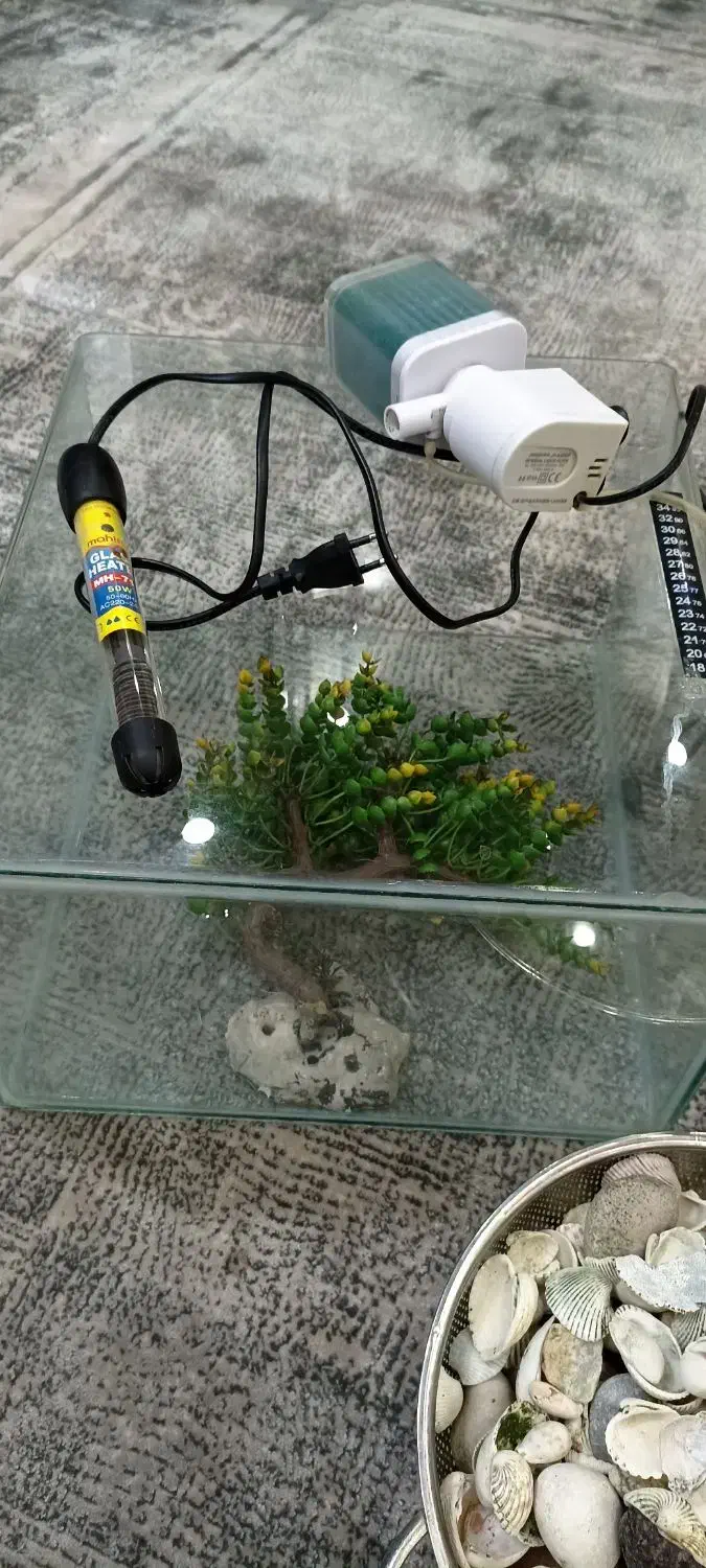 آکواریوم سالم|ماهی|محمدشهر, محمدشهر|دیوار