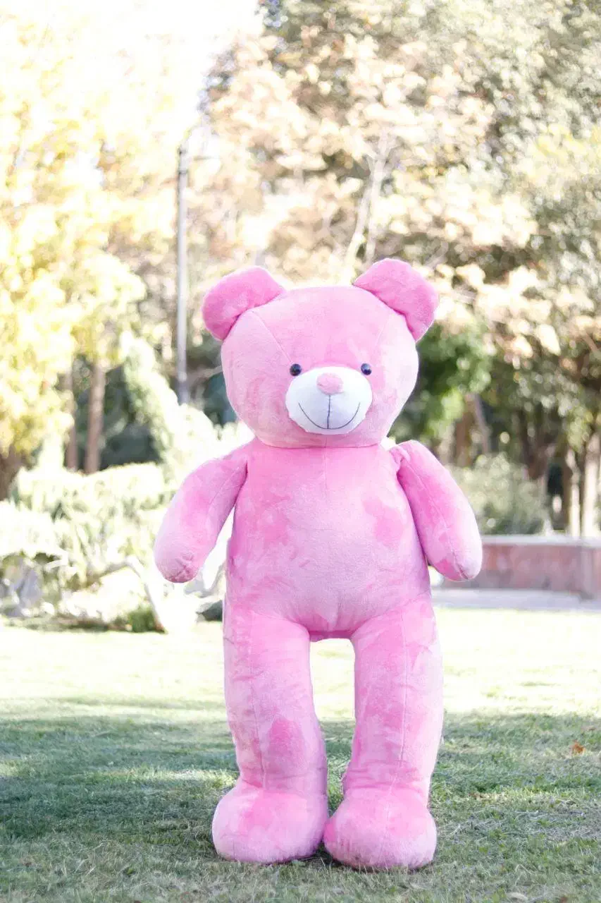 خرس|اسباب‌بازی بچه|سقز, |دیوار