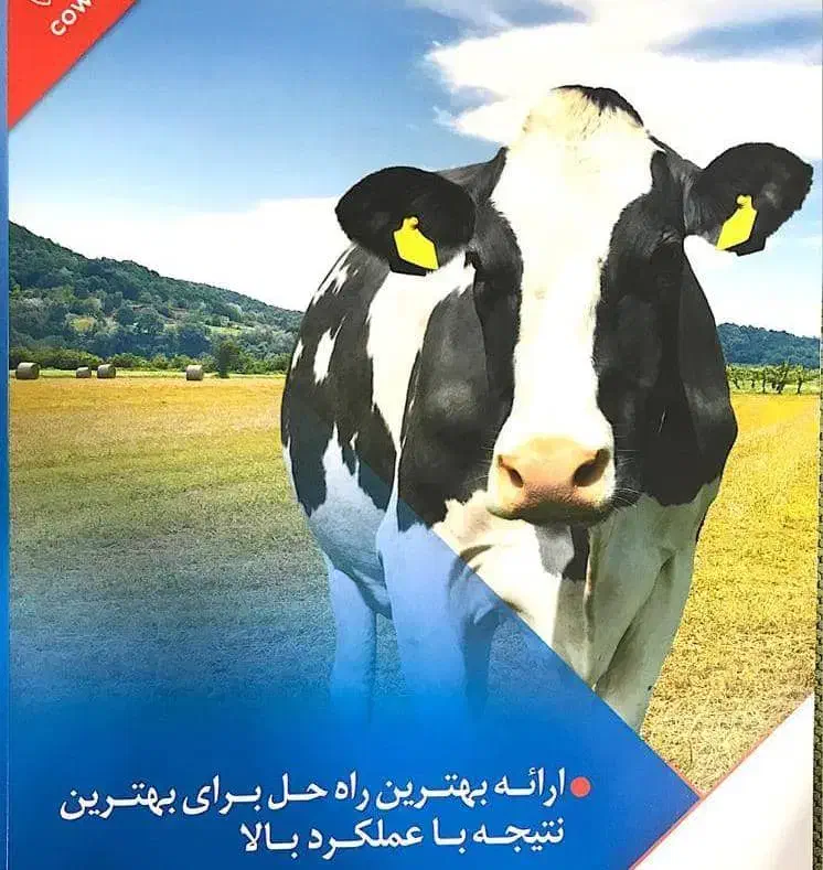 باسلام نیازمند کارگر گاوداری|استخدام سرایداری و نظافت|فیروزآباد (فارس), |دیوار