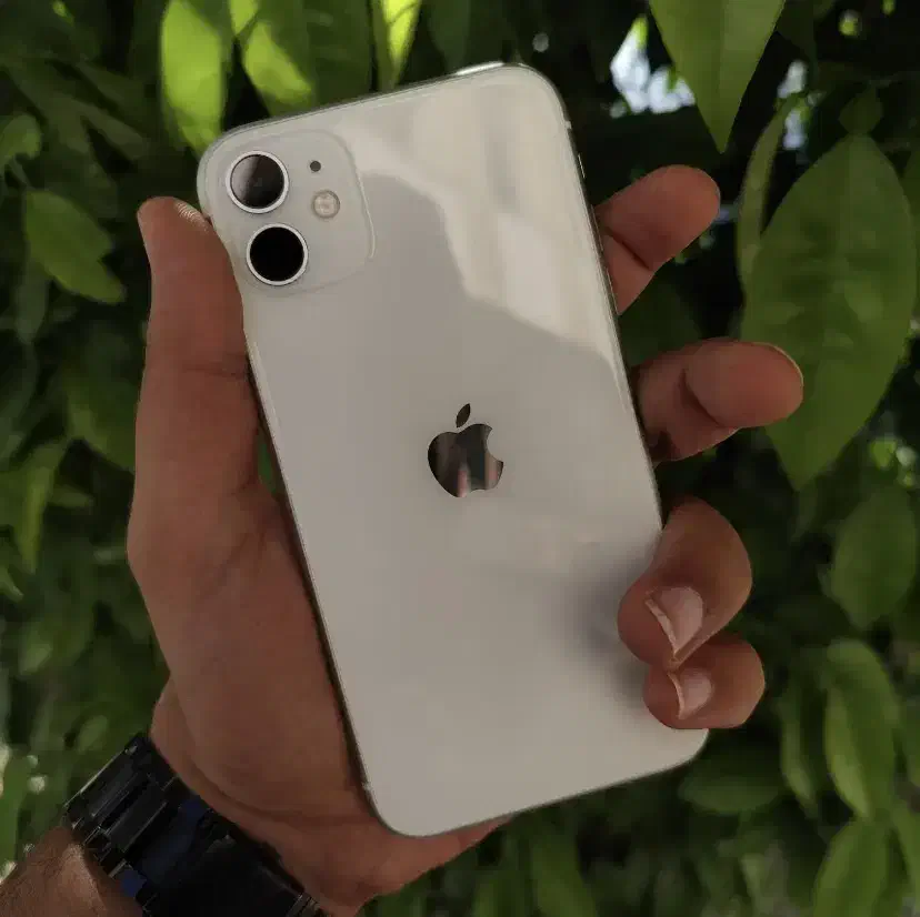 Iphone 11|موبایل|یاسوج, |دیوار