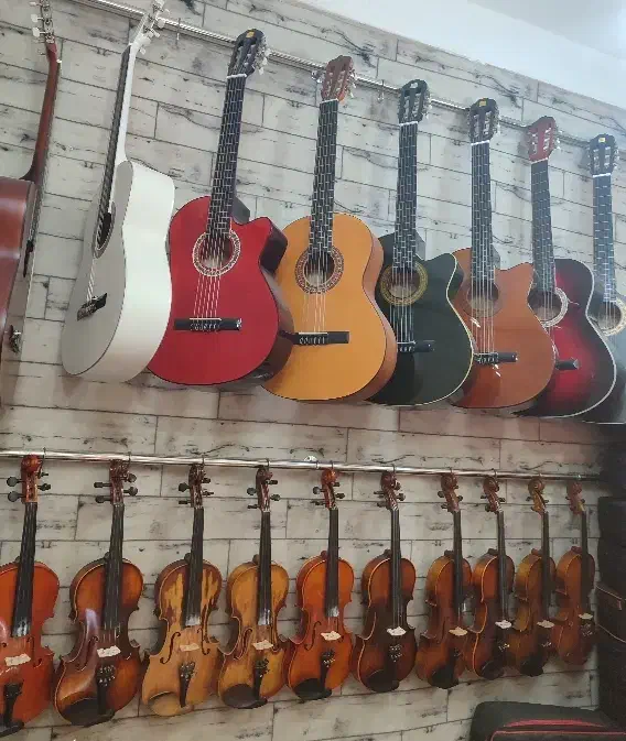 گالری موسیقی احمدپور|ویولن|تبریز, |دیوار