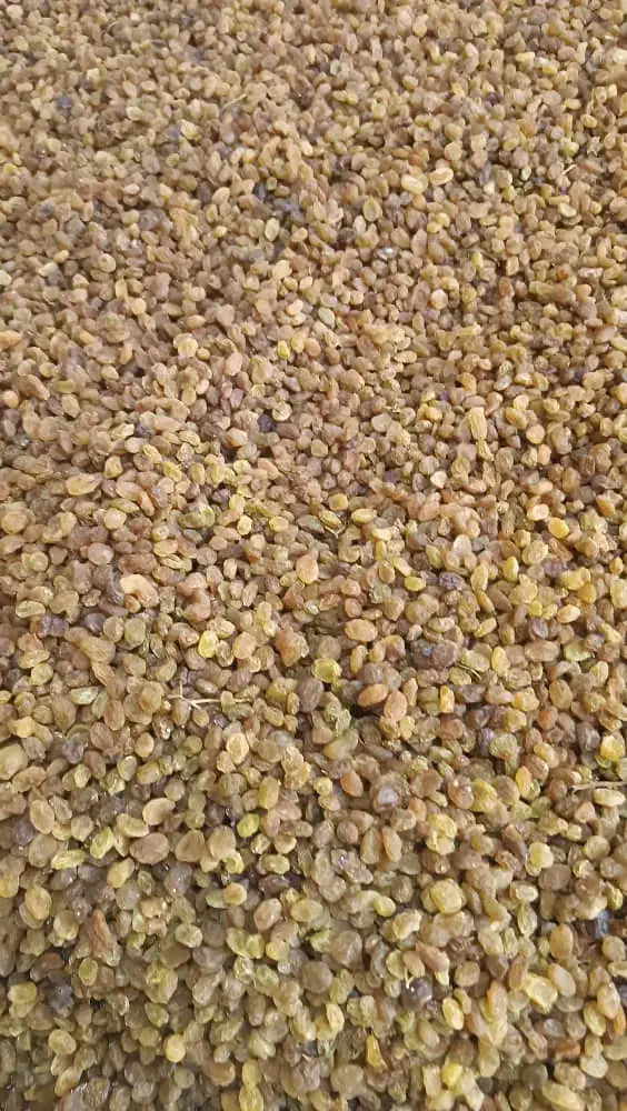 ترکیبات گیاهی ودارویی، رژیمی با طب اکبری|آرایشی، بهداشتی، درمانی|کرمانشاه, |دیوار