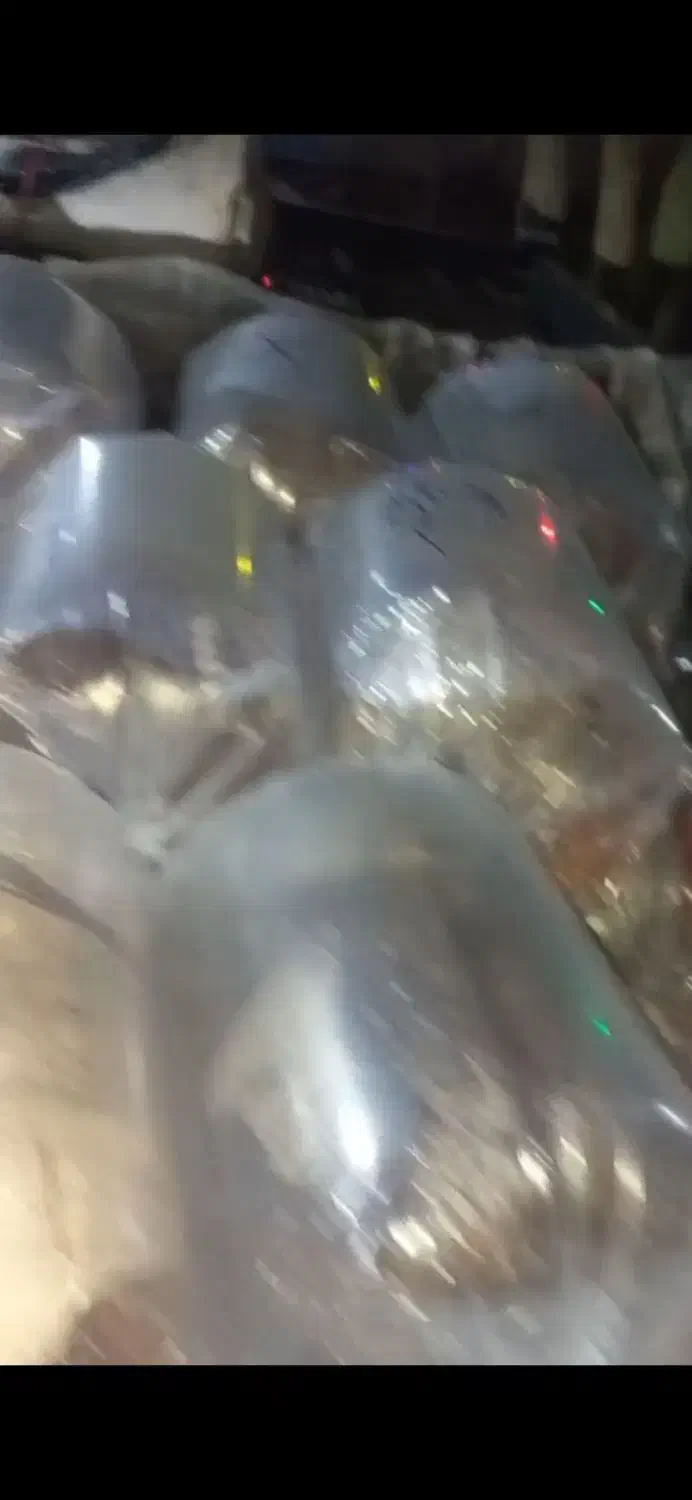 مزرعه پرورش و پخش ماهی کوی حوض آکواریوم طعمه و....|ماهی|تهران, مینابی|دیوار