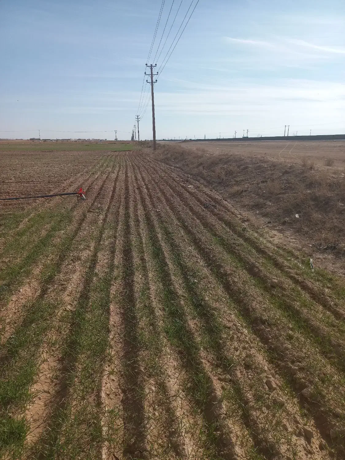 زمین حاشیه جاده سنتو مشهد|فروش دفتر صنعتی، کشاورزی، تجاری|قوچان, |دیوار