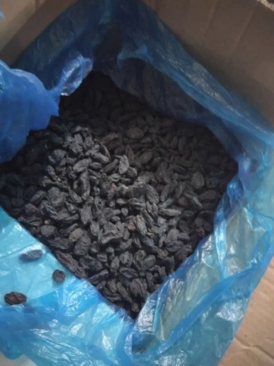 مویز درجه یک|خوردنی و آشامیدنی|قرچک, پارک جنگلی|دیوار