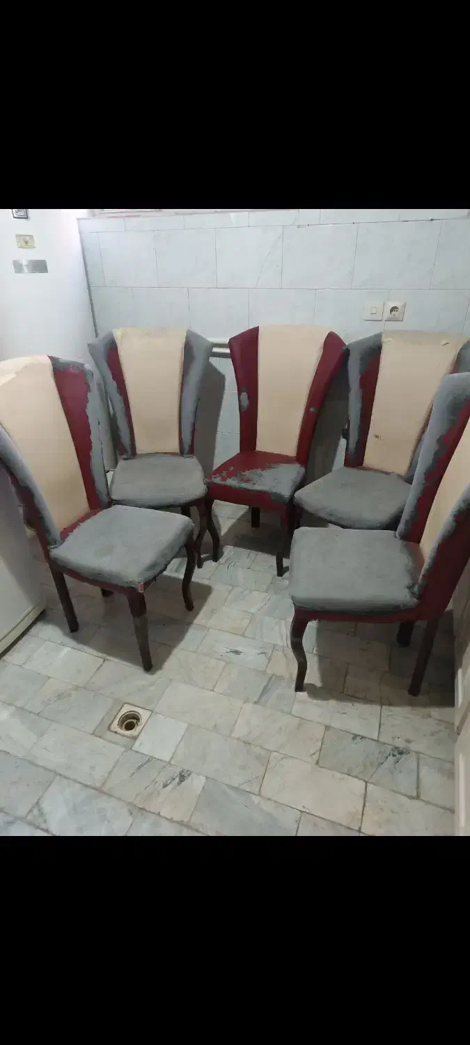 صندلی ناهارخوری|میز و صندلی غذاخوری|قزوین, |دیوار